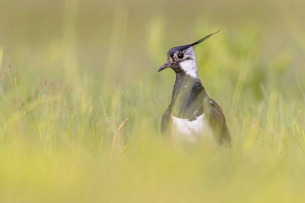 Les plus beaux canyons et leurs paysages grandioses